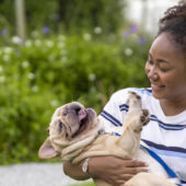 11869675-afrikansk-amerikan-kvinna-ar-spelar-med-henne-franska-bulldogg-valp-medan-gaende-i-de-hund-parkera-pa-gras-grasmatta-efter-har-morgon-ovning-under-de-sommar-gratis-fotona