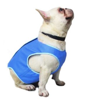 Reusable Cooling Vest